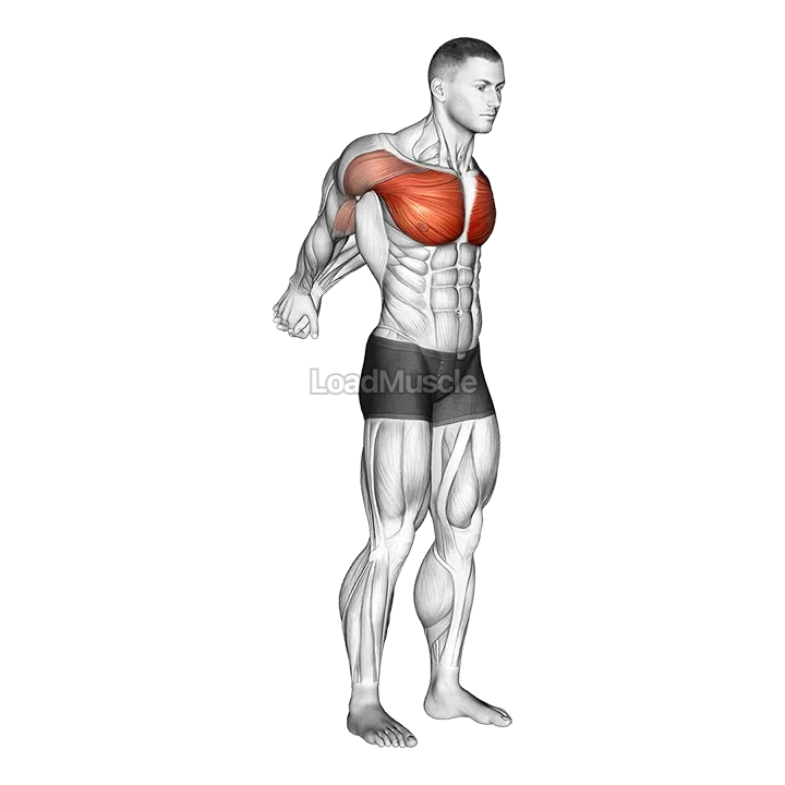 Straight Arms Backward Chest Sretch demonstration
