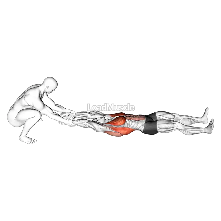 Assisted Straight Arms Lying Stretch demonstration