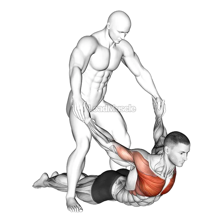 Assisted Pulling Arms in Prone Position Chest Stretch demonstration