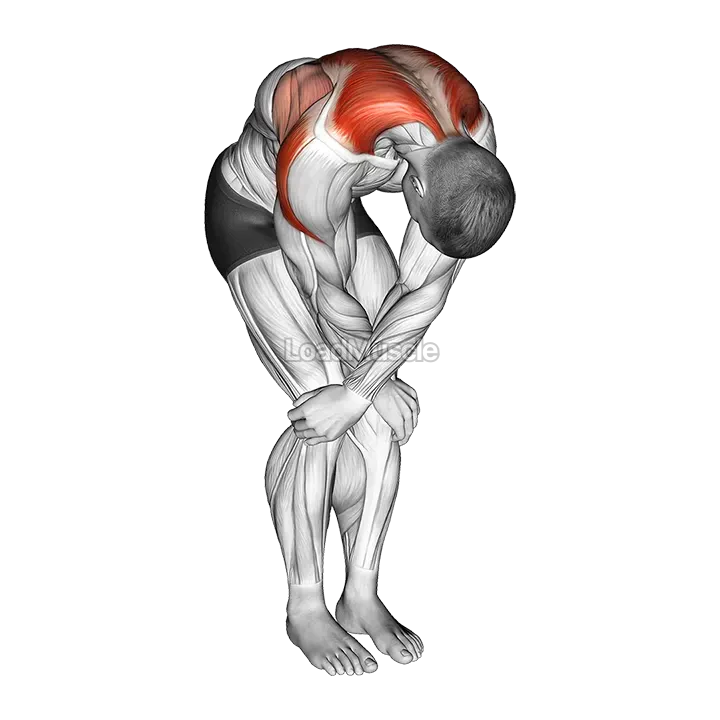 Cross over shoulder stretch demonstration