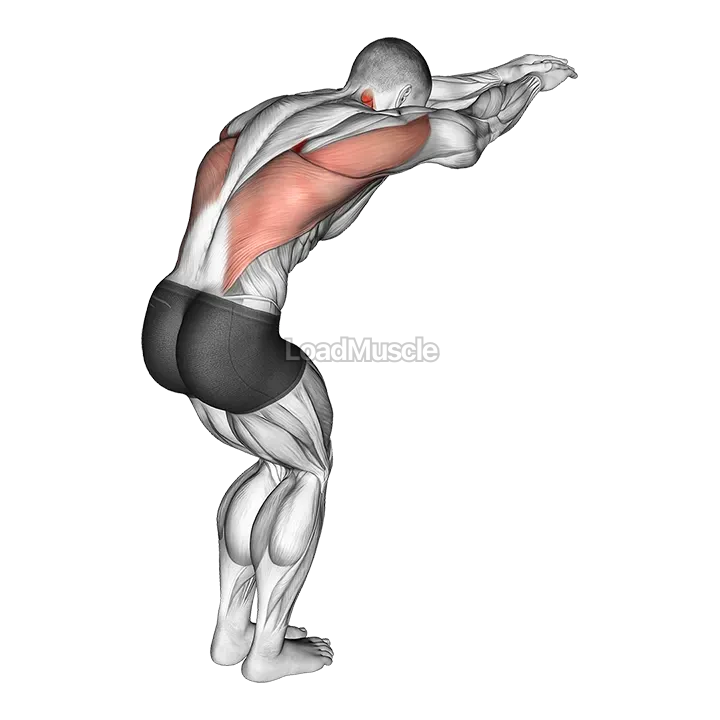 Reach forward upper back stretch demonstration