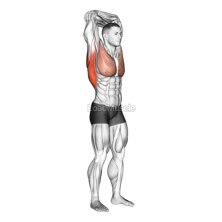 Standing reach up back rotation stretch demonstration