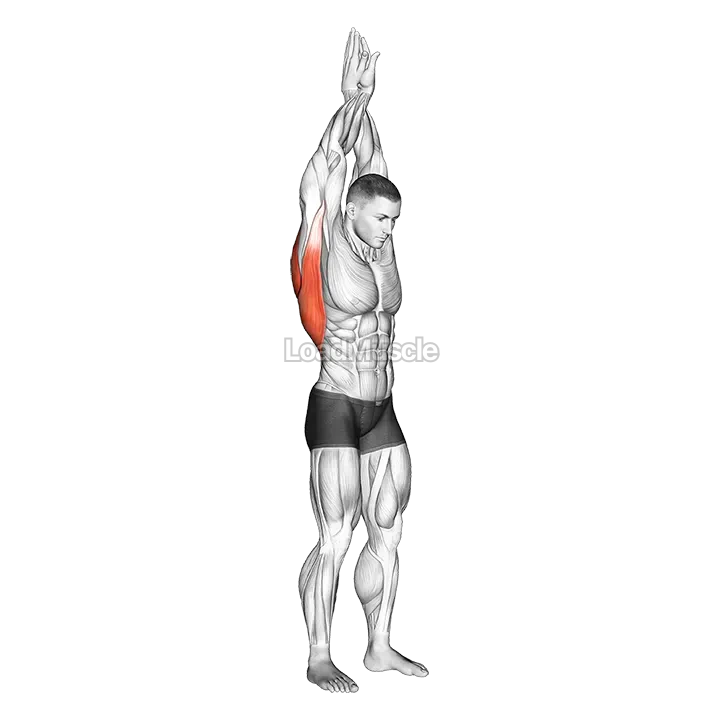 Reach up back stretch demonstration