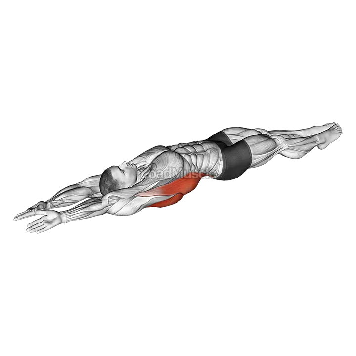 Lying whole body stretch demonstration