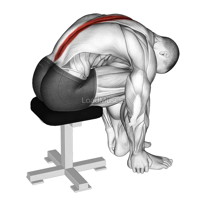 Sitting Lower Trunk Extensor Stretch demonstration