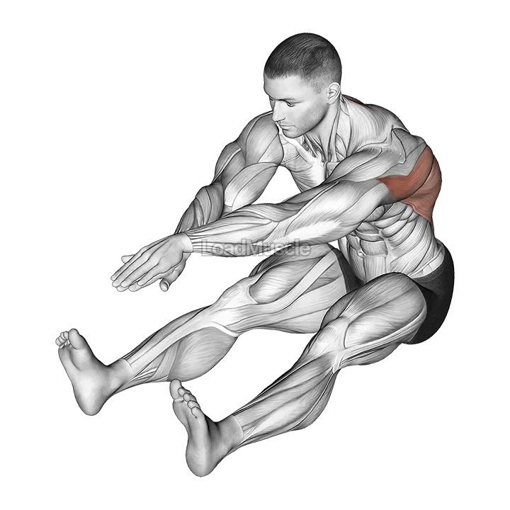 Sitting Bent Over Back Stretch demonstration