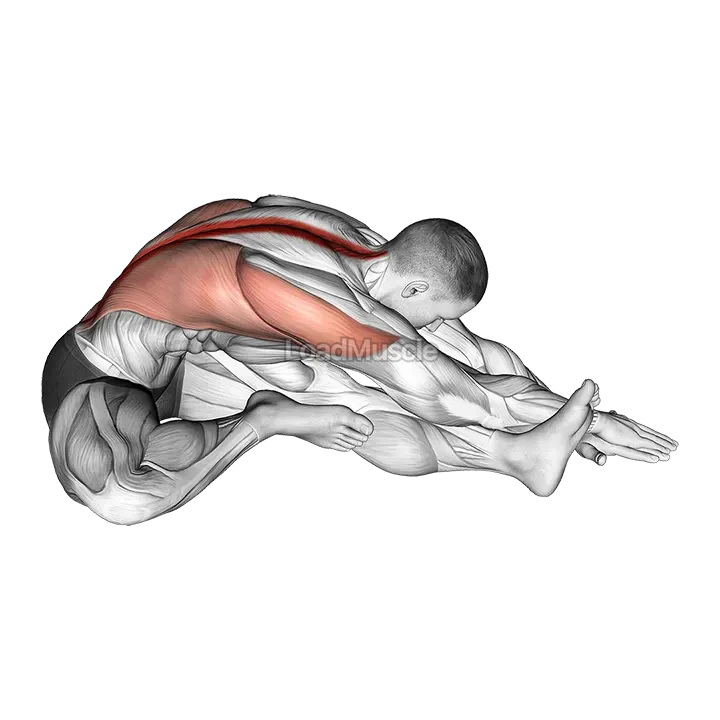 Sitting Side Reach Stretch demonstration
