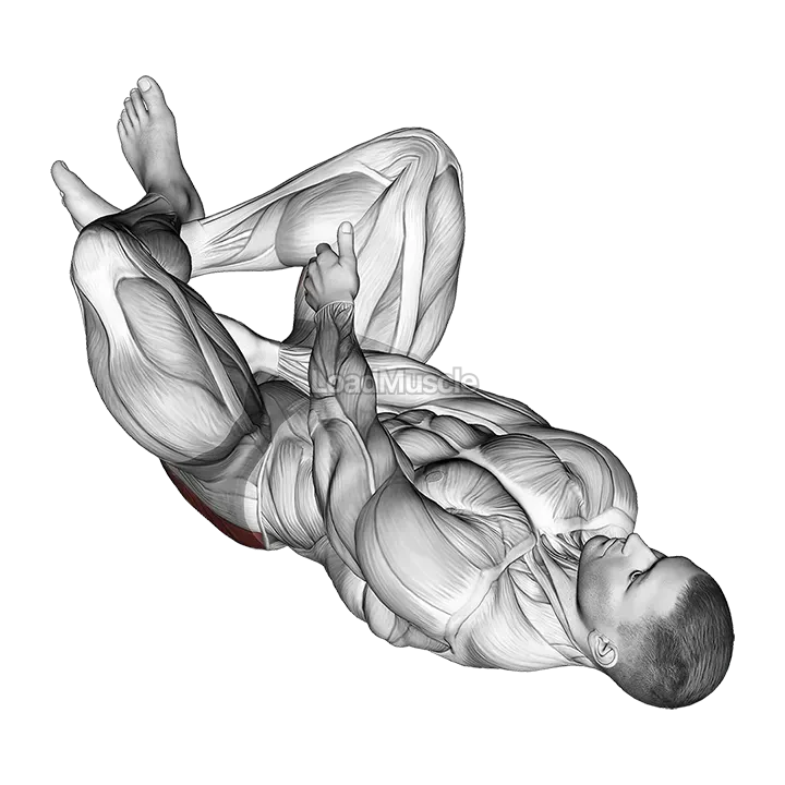 Reclining Lower Trunk Extensor Stretch demonstration