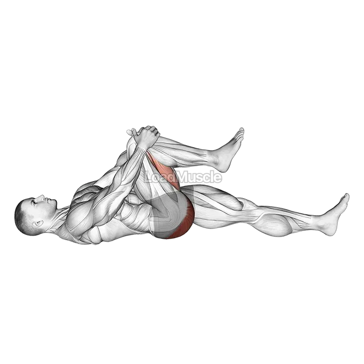 Lying Knee To Chest Stretch demonstration