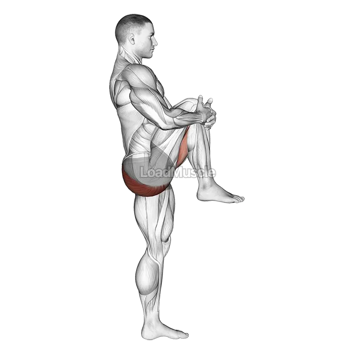 Standing Knee To Chest Stretch demonstration