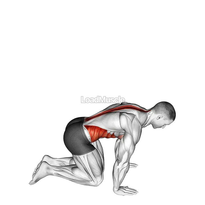 Kneeling Back Rotation Stretch demonstration