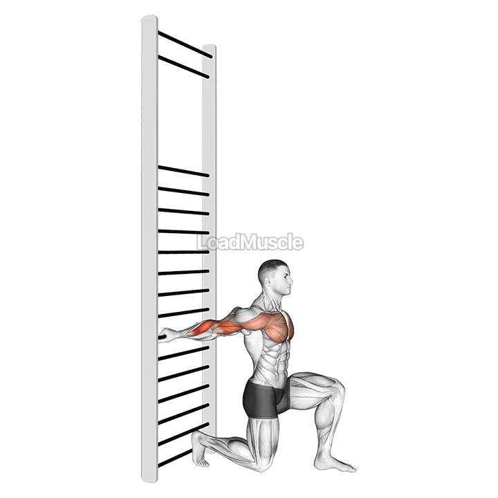 Arms Stretch On A Support demonstration