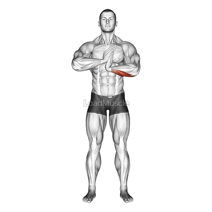 Finger Flexor Stretch demonstration