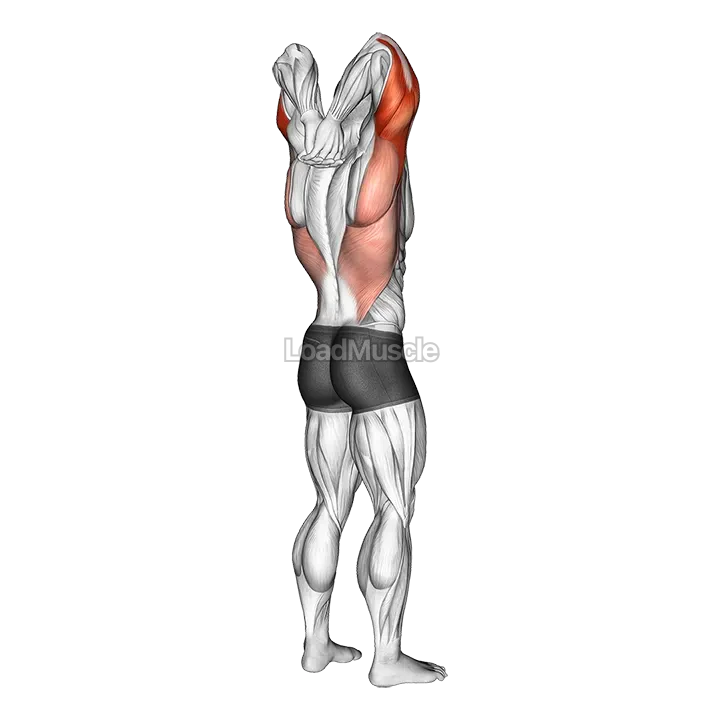 Reaching Down Triceps Stretch demonstration