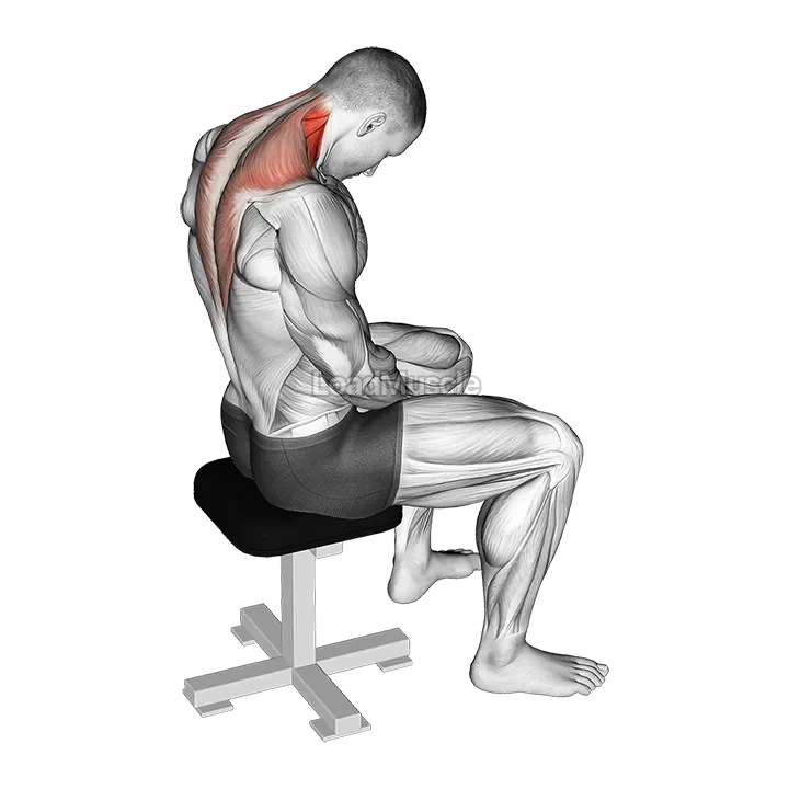 Sitting Neck Flexion Stretch demonstration
