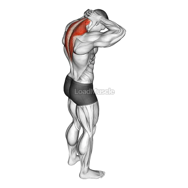 Neck Extensor Stretch demonstration