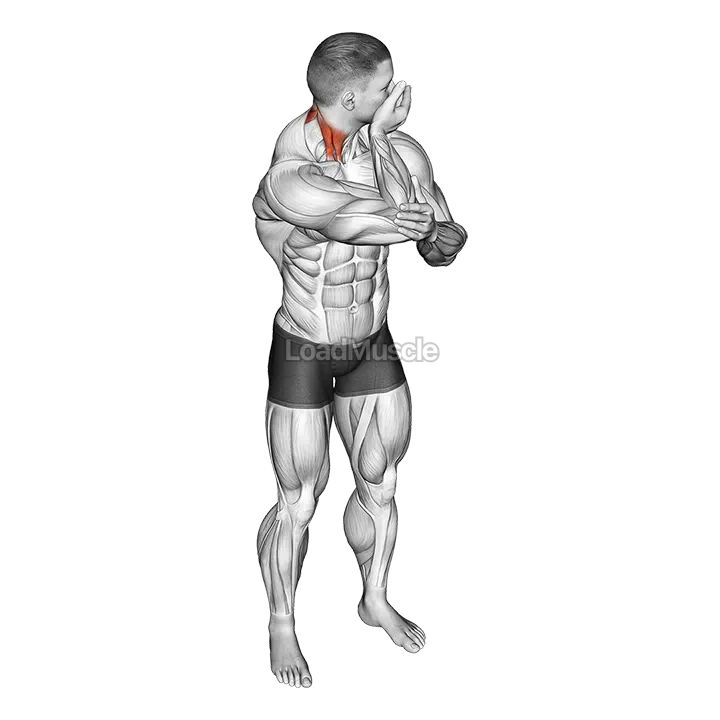 Assisted Rotating Neck Stretch demonstration