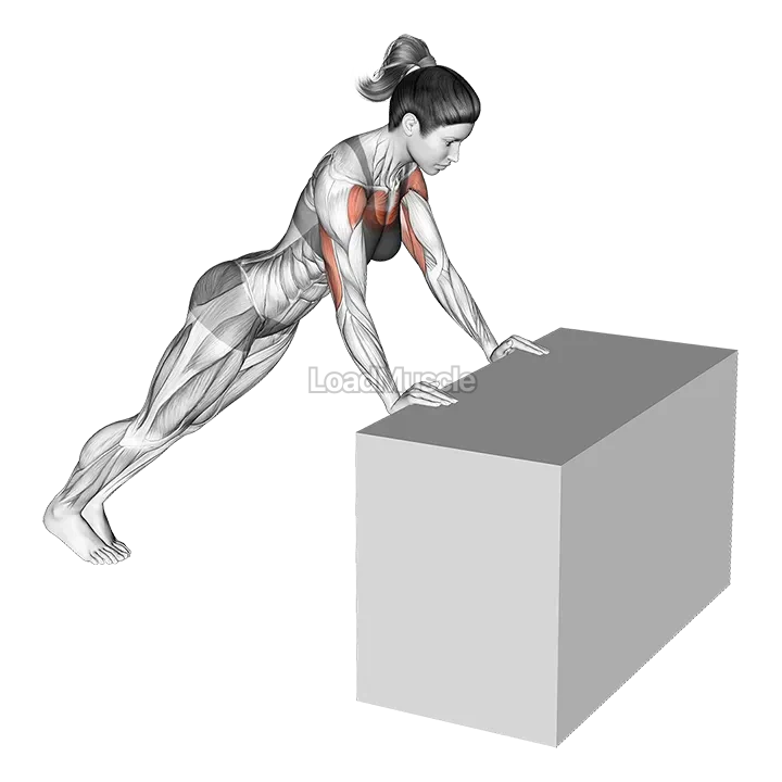 Incline Push Press demonstration