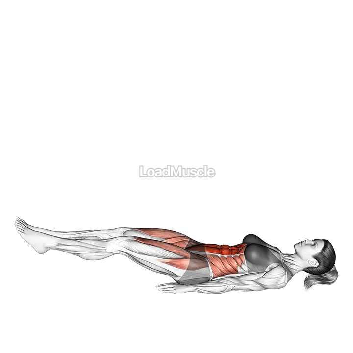 Leg Raise Hip Lift demonstration