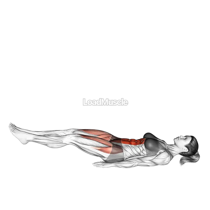 Leg Raise Slightly Bent Knee demonstration