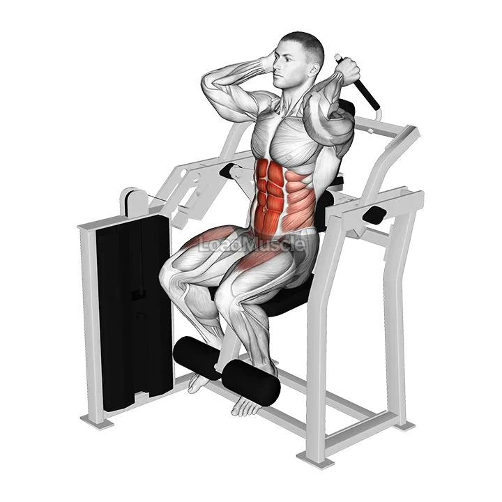 Lever Total Abdominal Crunch demonstration