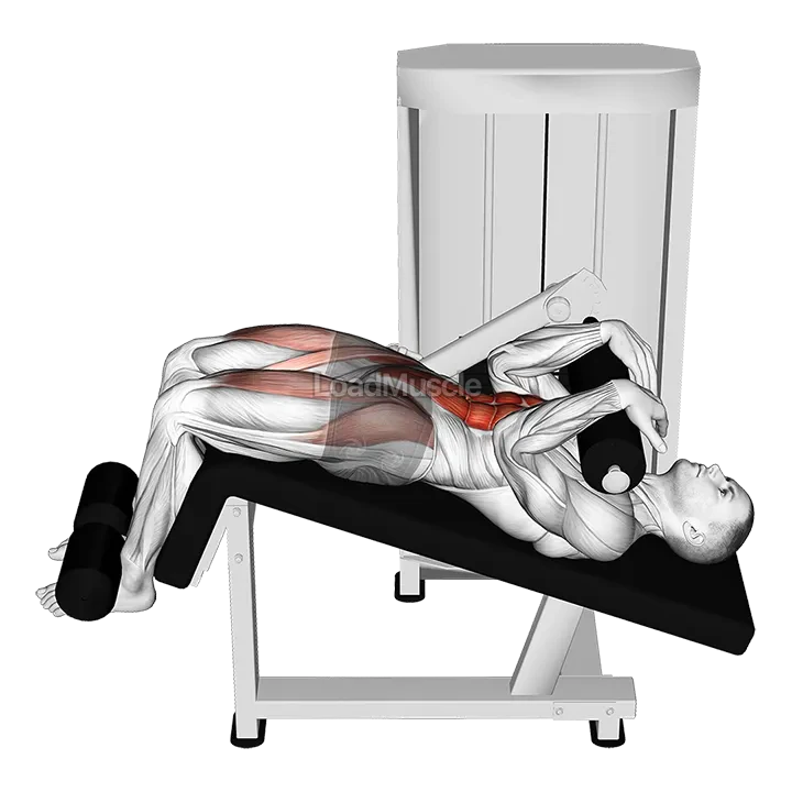 Lever Decline Sit up demonstration