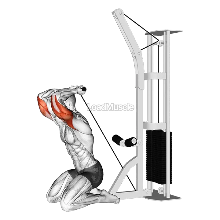 Cable Kneeling Triceps Extension demonstration