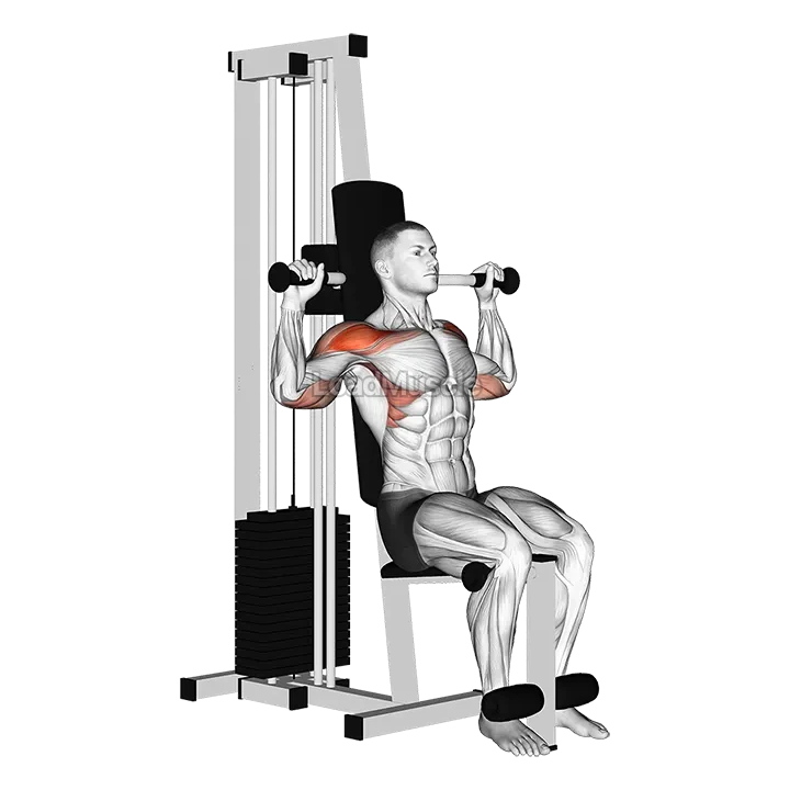 Lever Cable Shoulder Press demonstration
