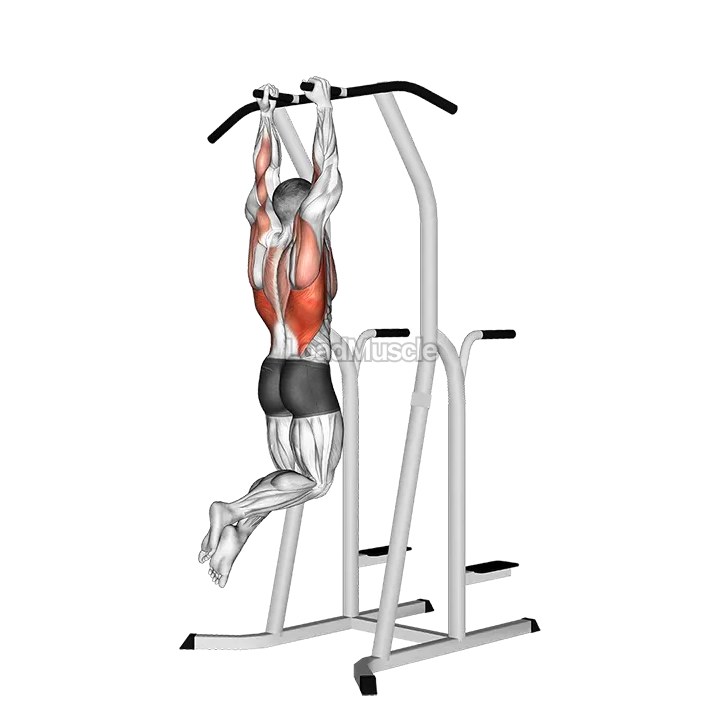 Hammer Grip Pull up on Dip Cage demonstration