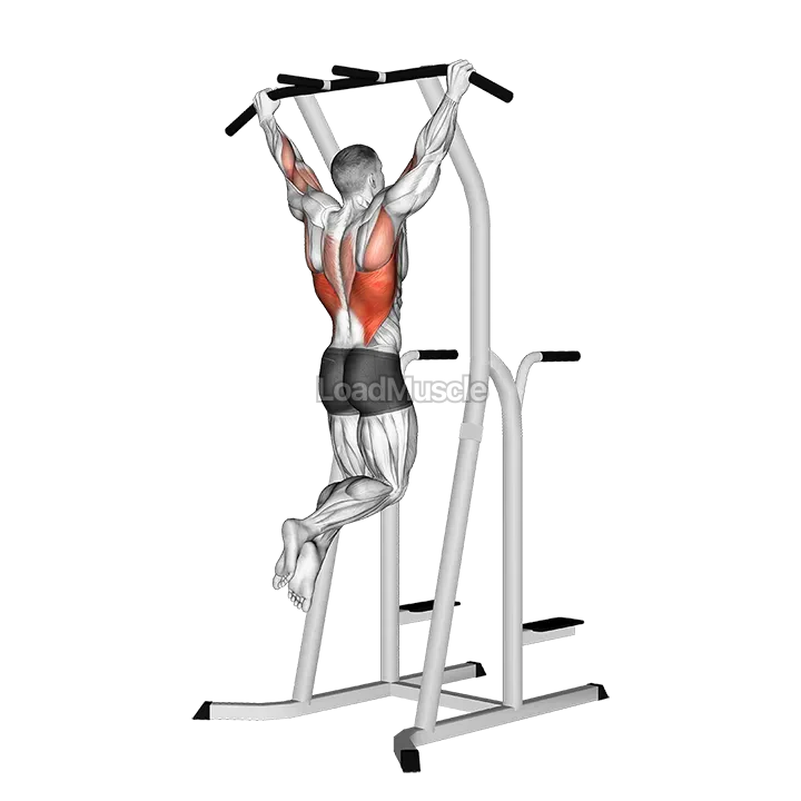 Wide Grip Pull Up on Dip Cage demonstration