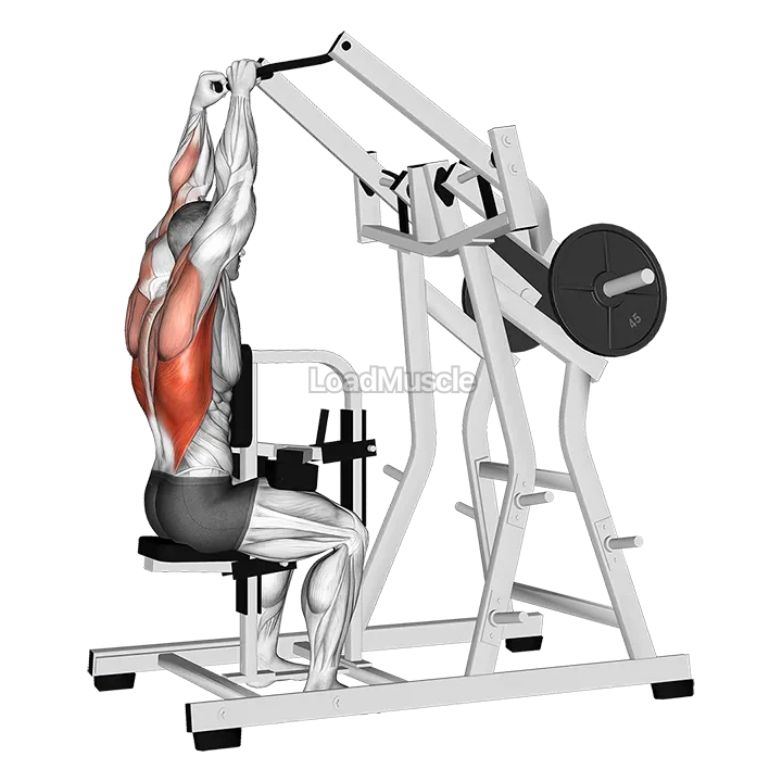 Lever Lateral Pulldown (plate loaded) demonstration