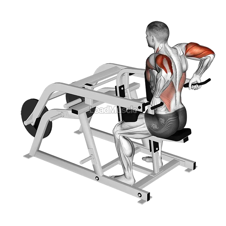 Lever Triceps Dip (plate loaded) demonstration