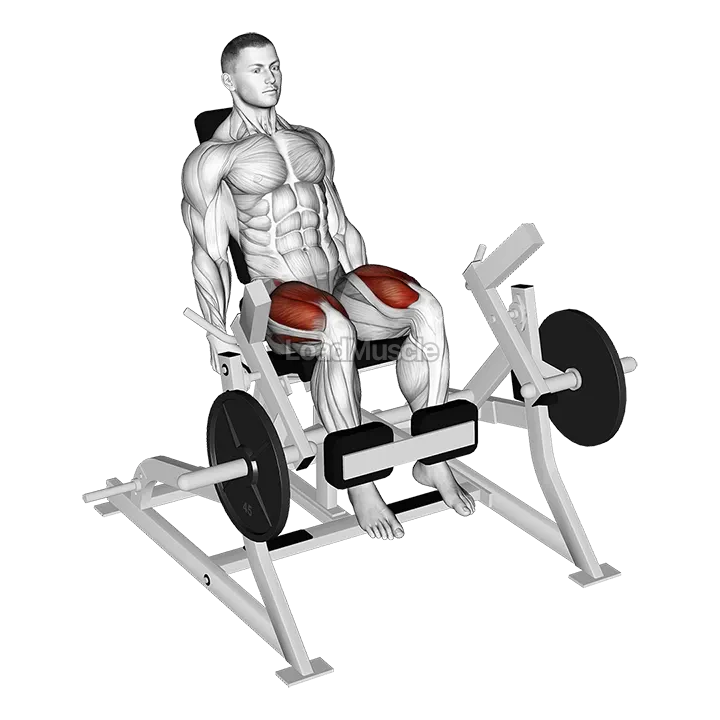 Lever Leg Extension (plate loaded) demonstration