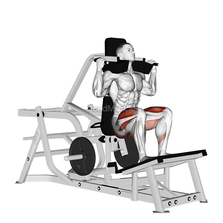 Lever Squat (plate loaded) demonstration