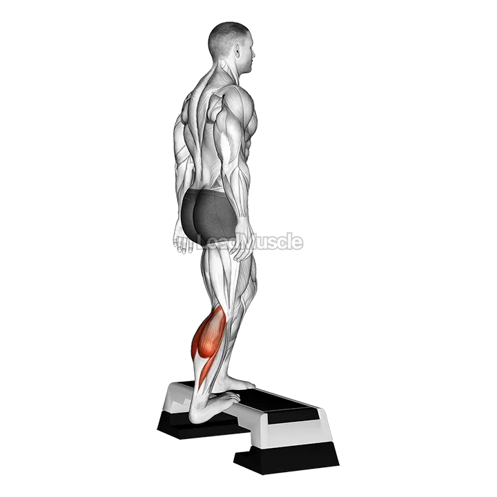 Single Heel Drop Achilles Stretch demonstration