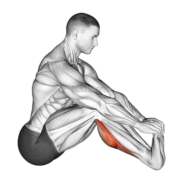 Sitting Toe Pull Achilles Stretch demonstration