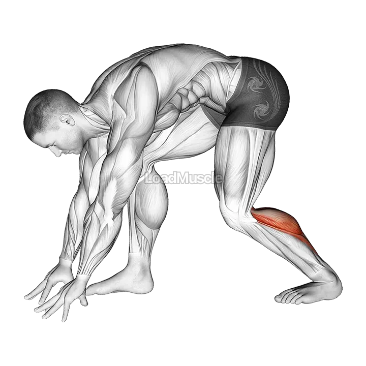 Crouching Heel Back Achilles Stretch demonstration