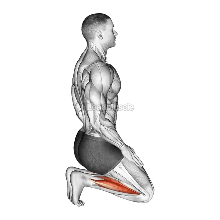 Toe Squat Stretch demonstration