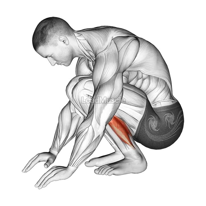 Squatting Achilles Stretch demonstration