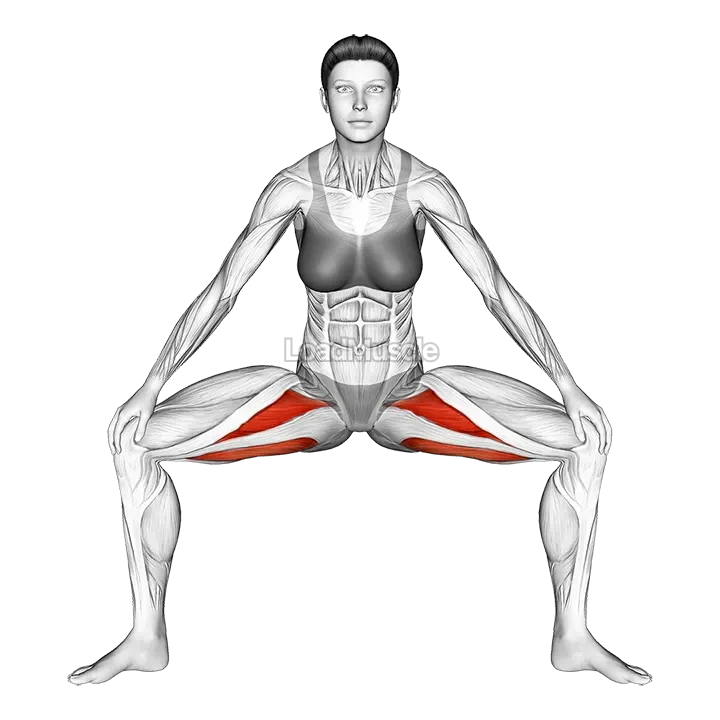 Standing Wide Knees Adductor Stretch demonstration