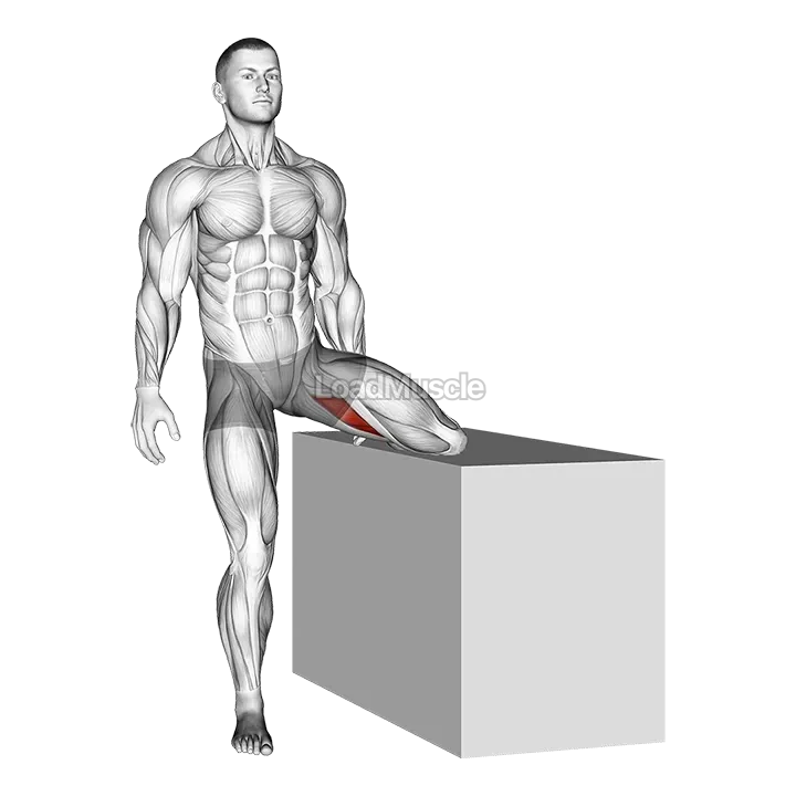 Standing Rotational Hip Stretch demonstration