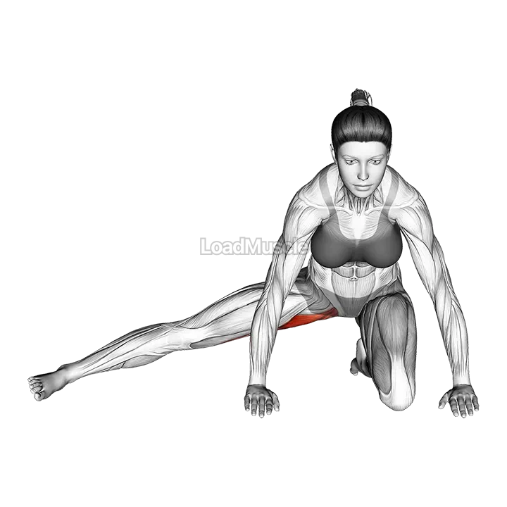 Kneeling Leg Out Adductor Stretch demonstration