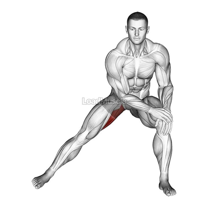 Side Lunge Adductor Stretch demonstration