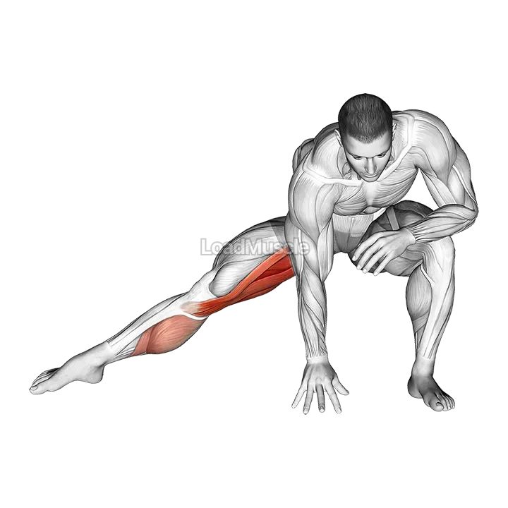 Standing Bent Knee Hip Adductor Stretch demonstration