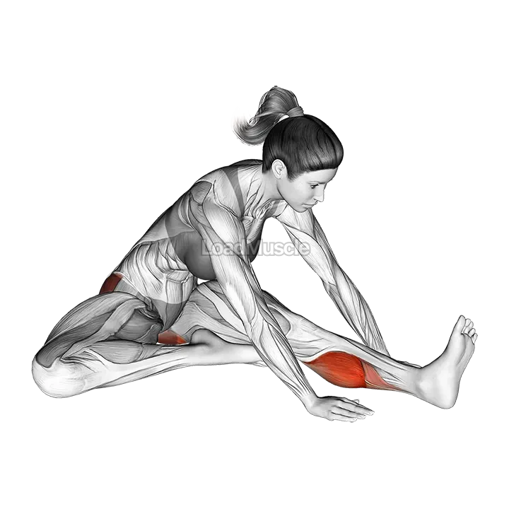 Seated Hip External Rotator And Hip Extensor Stretch demonstration