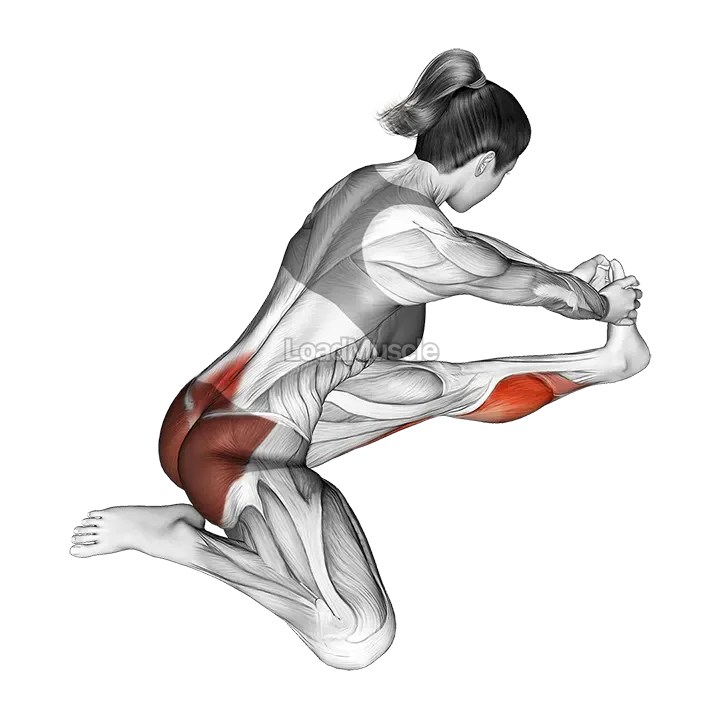 Seated Hip Stretch With Opposite Leg From Behind demonstration