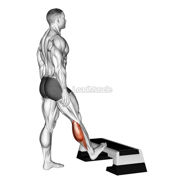 Standing Toe Up Calf Stretch demonstration