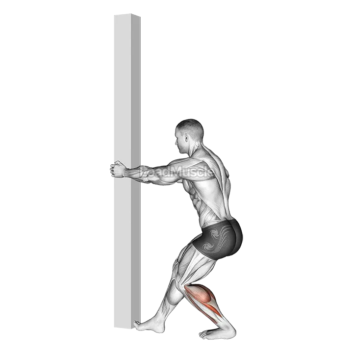 Tibial Stretch With Semi Flexed Knee demonstration