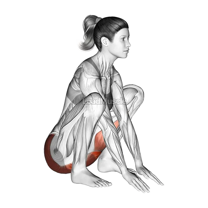 Hip And Knee Flexion Squatting Stretch demonstration