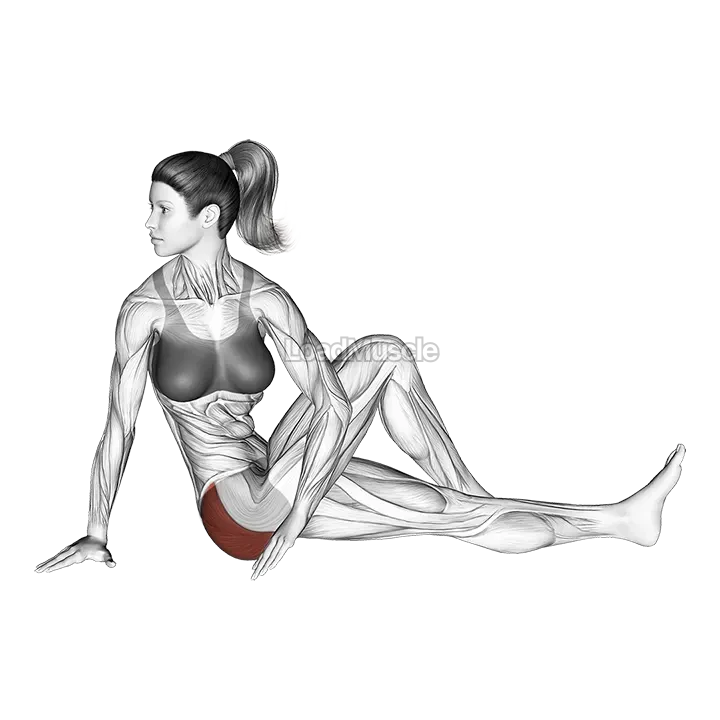 Seated Knee Up Rotation Stretch demonstration